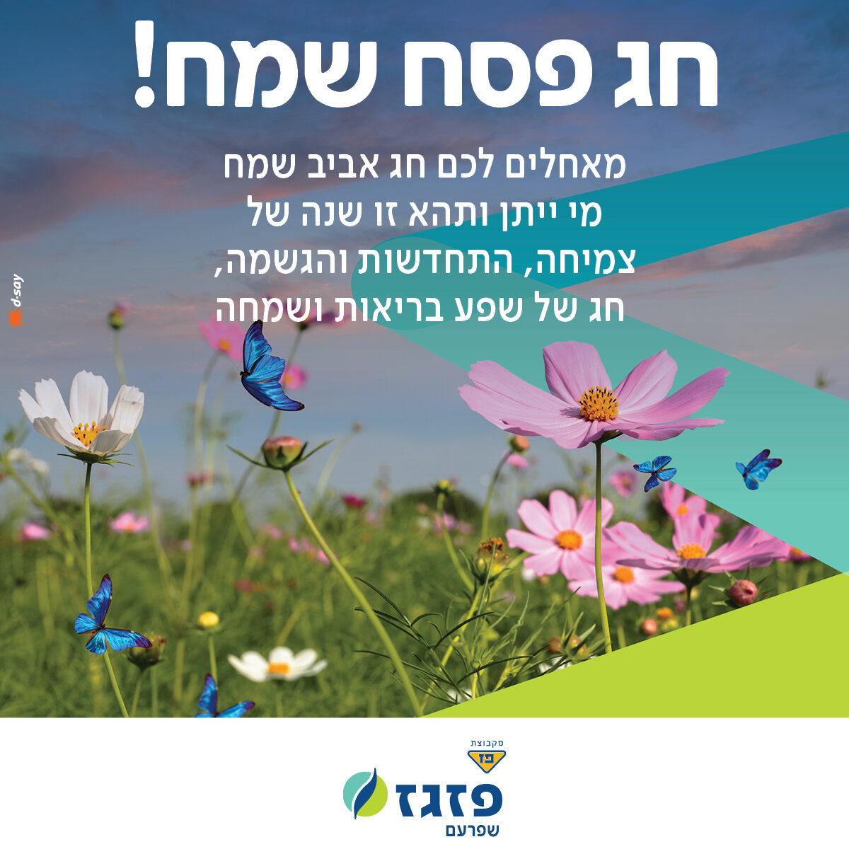 עיצוב סושיאל